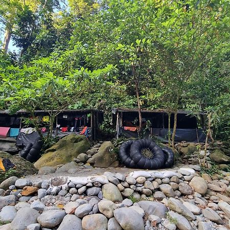 Lucky Bamboo'Bungalows-Resto And Orangutan Jungle Trekking Tours Bukit Lawang Exteriér fotografie