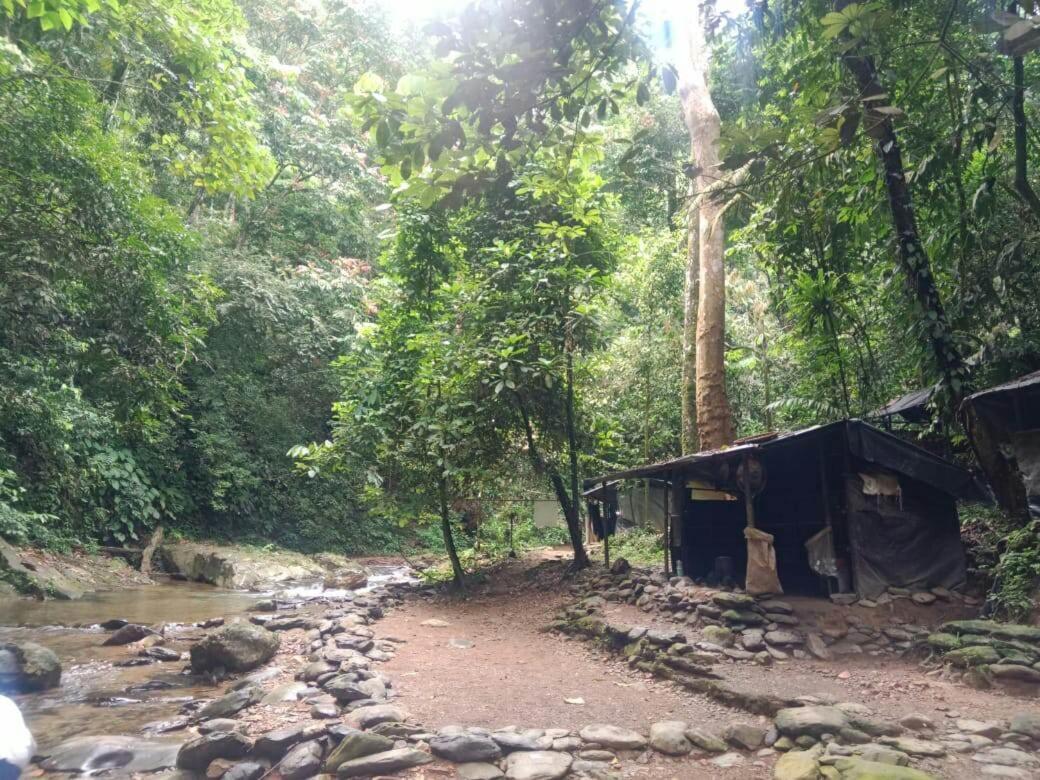 Lucky Bamboo'Bungalows-Resto And Orangutan Jungle Trekking Tours Bukit Lawang Exteriér fotografie