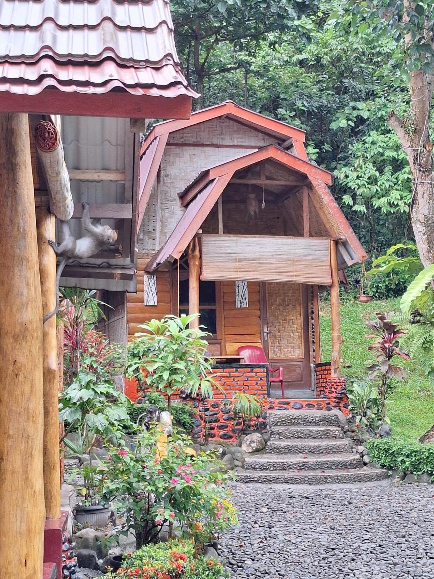 Lucky Bamboo'Bungalows-Resto And Orangutan Jungle Trekking Tours Bukit Lawang Exteriér fotografie